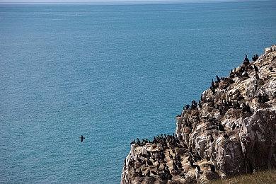 开放世界探索游戏《Outbound》Steam页面上线 支持中文